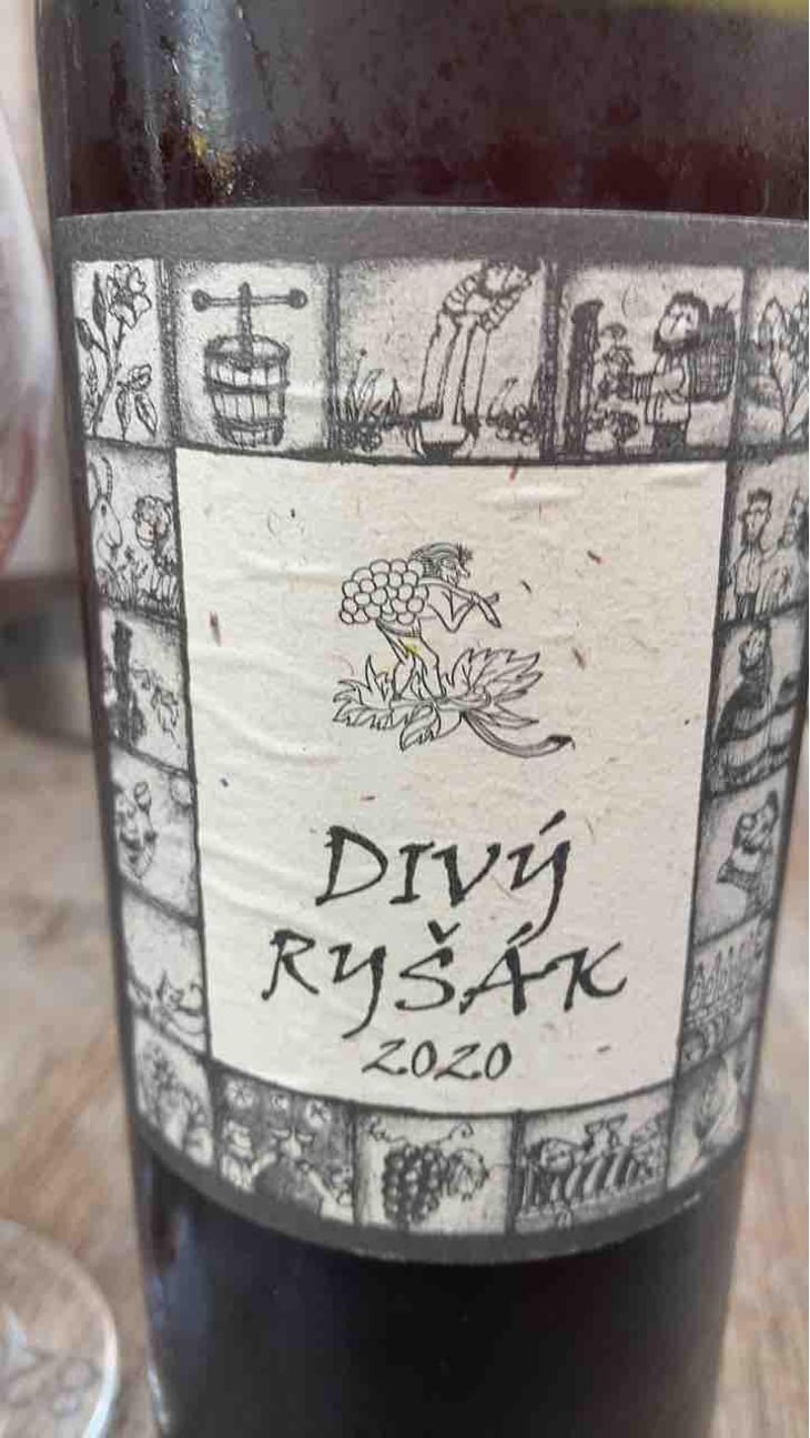 Divy Rysák - Richard Stavek - richard-stavek 