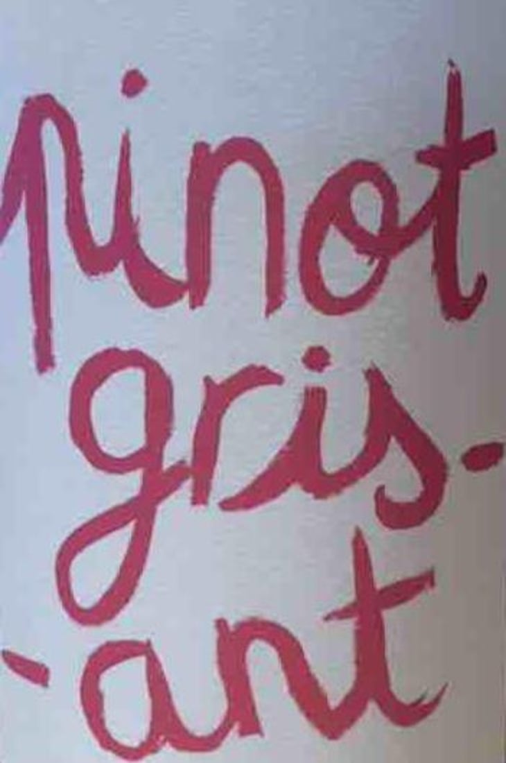 Pinot Grisant - Kumpf & Meyer - julien-albertus 