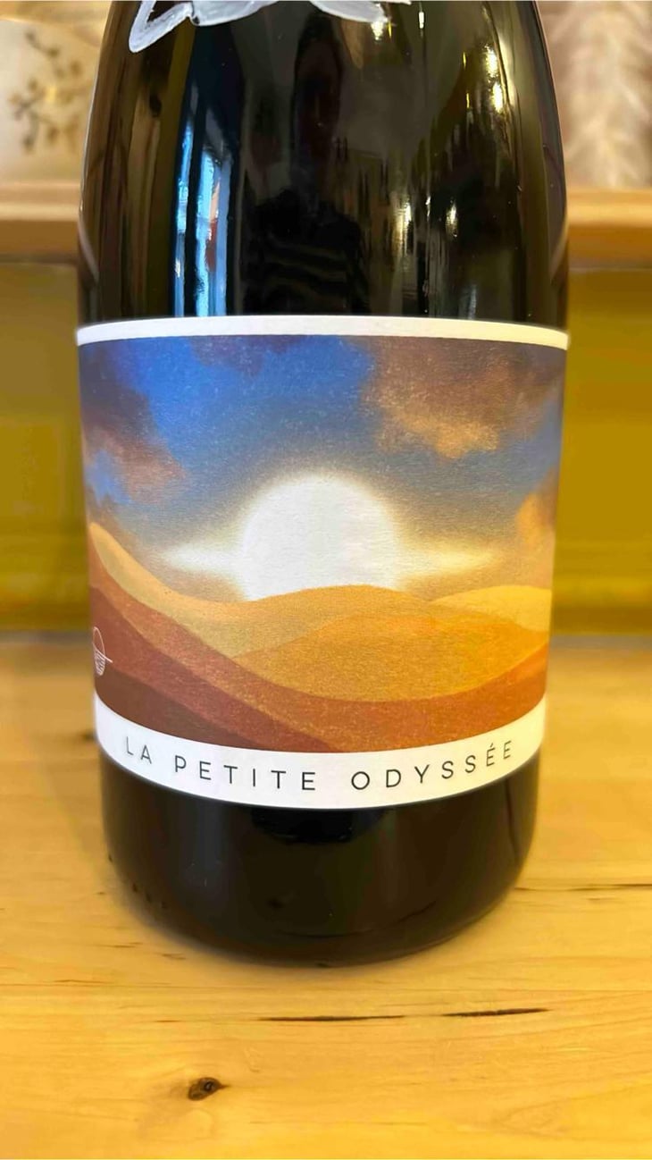 La petite odyssée - La Petite Odyssée - antoine-bernardin -2021