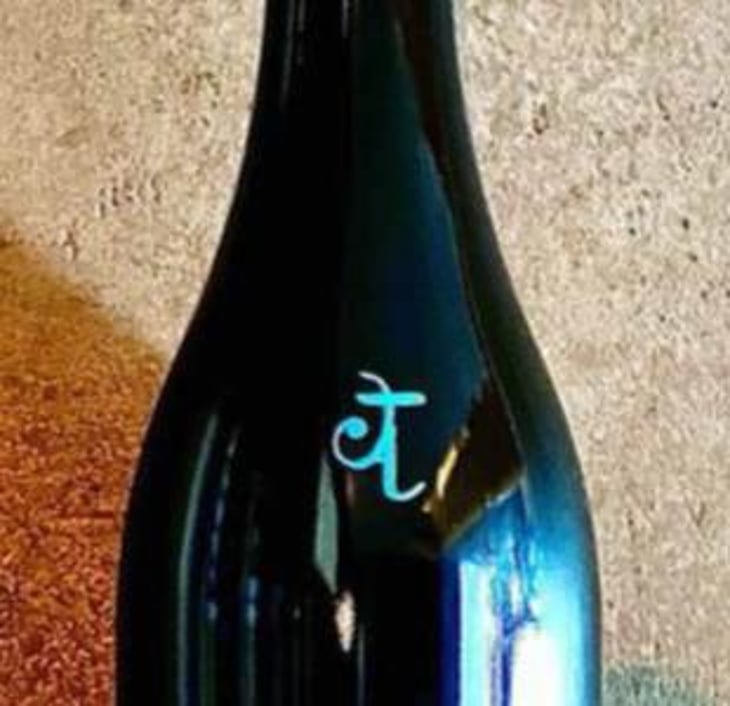 Orange - Els Jelipins - gloria-berta-garriga 