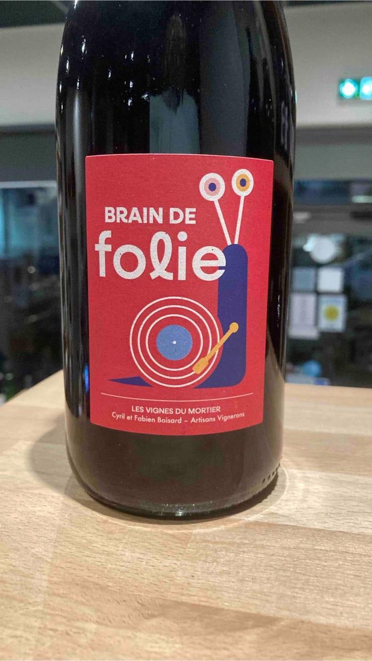 Brain de Folie Grolleau Noir & Cabernet - Les vignes du Mortier - fabien-cyril-boisard -2022