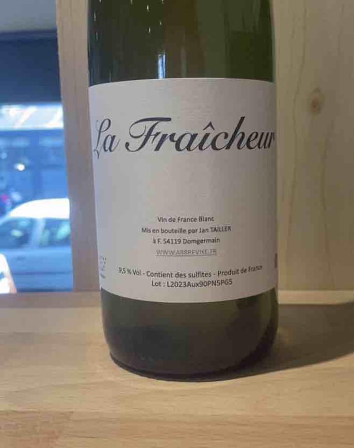 La Fraicheur - L’Arbre Viké - jan-tailler -2023