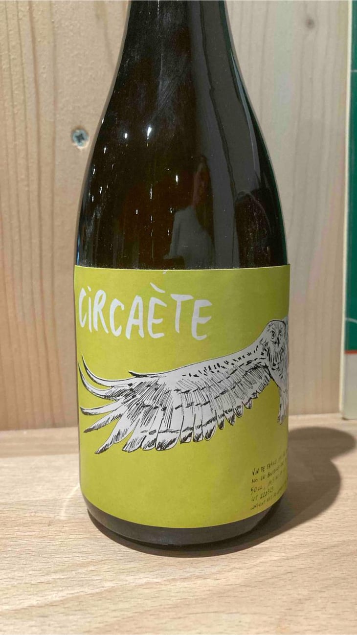 Circaète - Peaux rouges - jean-guillaume-caplain -2022