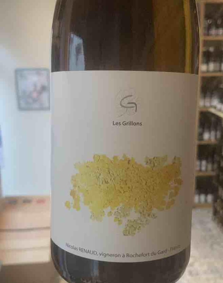 Mimosa - Clos des Grillons - nicolas-renaud -2016