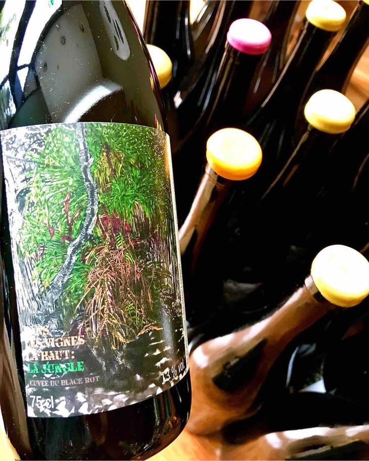 Dans les vignes là-haut : la jungle - Les Vins Du Fab - fabien-henriot -2022