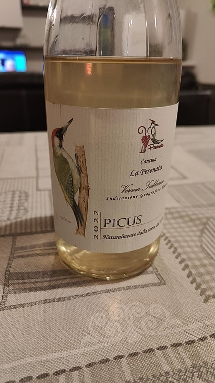 Picus - La Pesenata - silvia-e-gianni-benciolini-con-andrea -2022