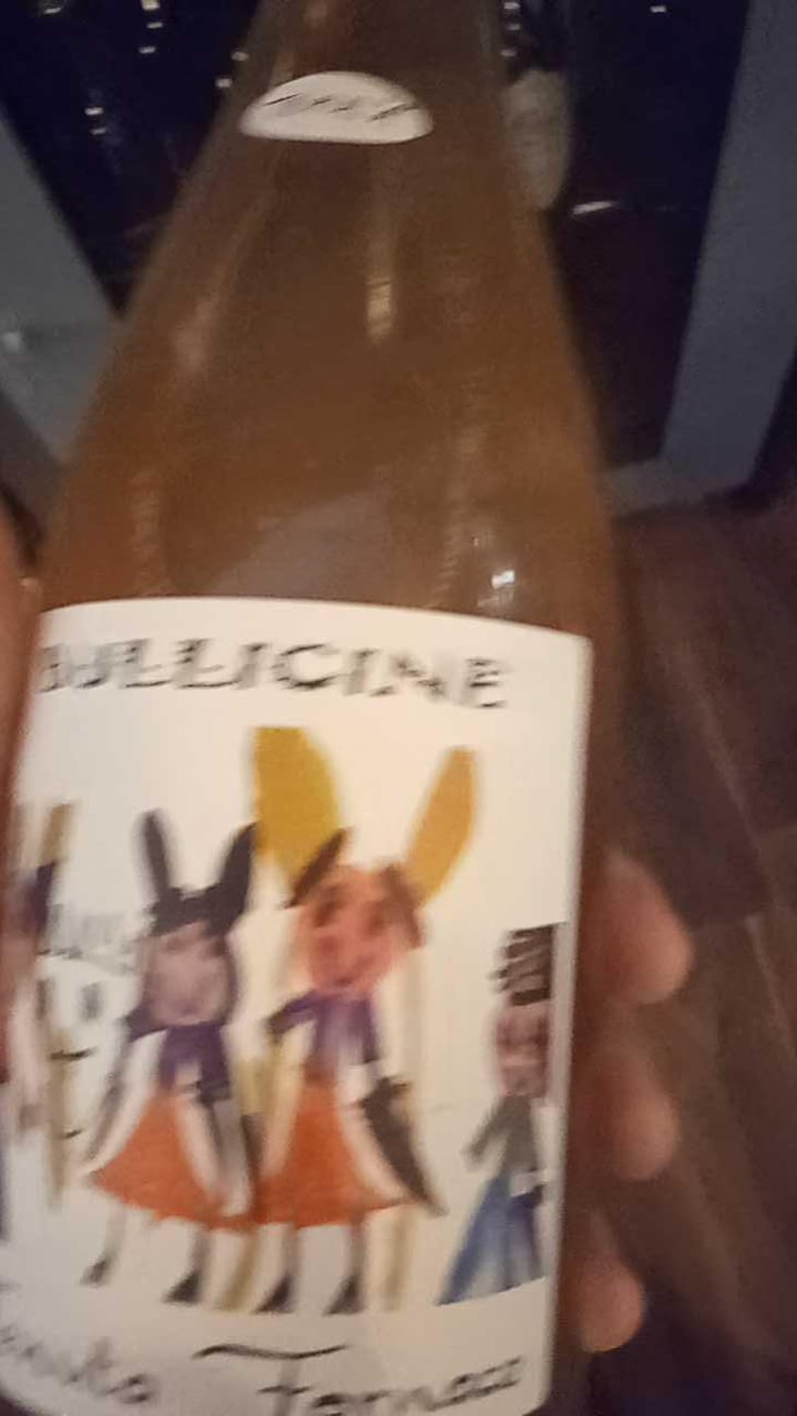 Bullicine - Tenuta Fornace - andrea-rossi-xd -2022