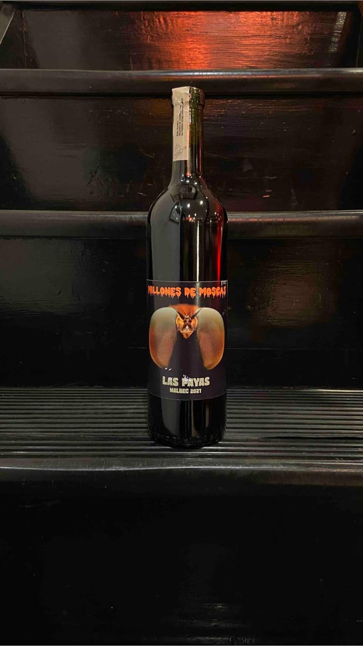 Millones de moscas - Las payas - santiago-salgado -2021