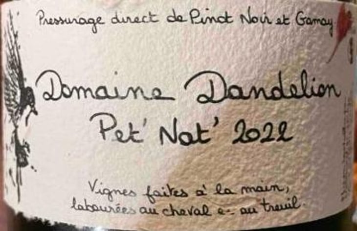 Pet nat - Domaine Dandelion - morgane-seuillot-christian-knott -2022