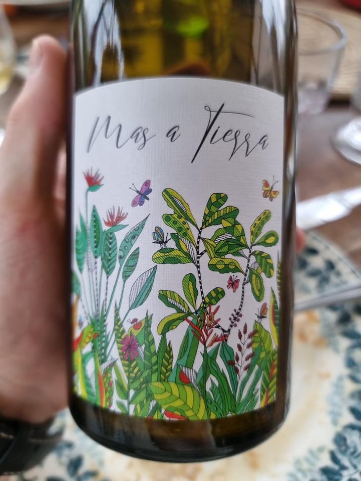 Mas a Tierra - Domaine de la Petite Empreinte - melissa-bazin-romain-de-moor -2022