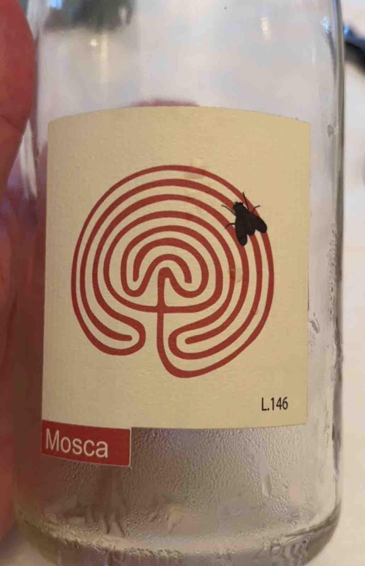 Mosca - Azienda Costadilà - martina-cieli-alex-dalla-vecchia 