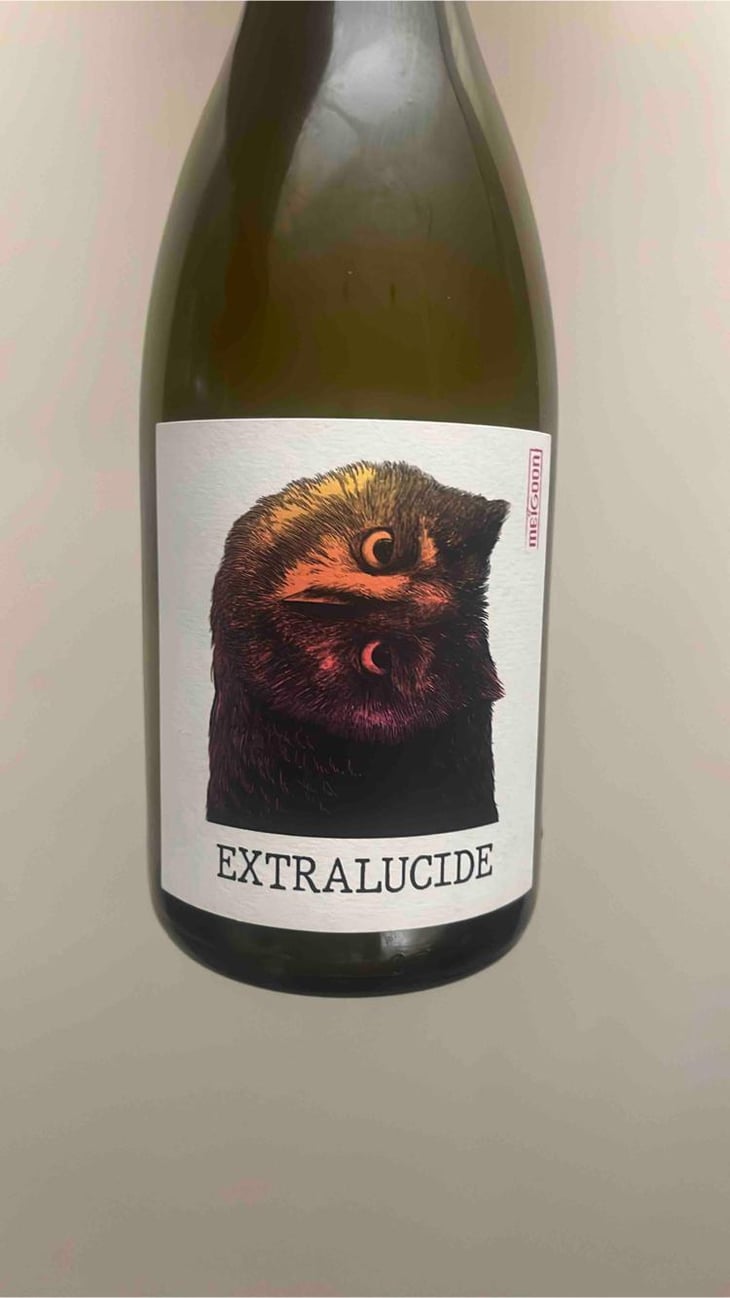 Extralucide - Hameau D’Escagnes - saharnaz-ahangi-et-gauthier-ollivier -2022