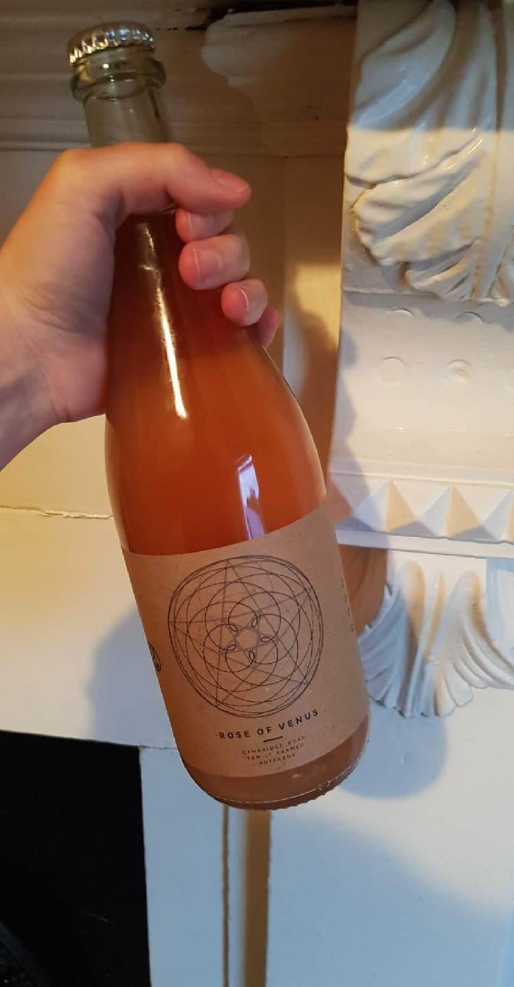 Rose Of Venus - Cambridge Road Vineyard - lance-redgwell 