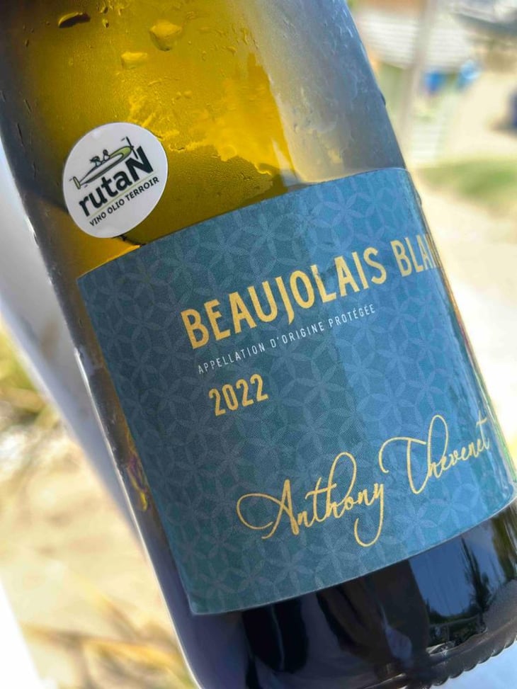 Beaujolais Blanc - Anthony Thevenet - anthony-thevenet -2022