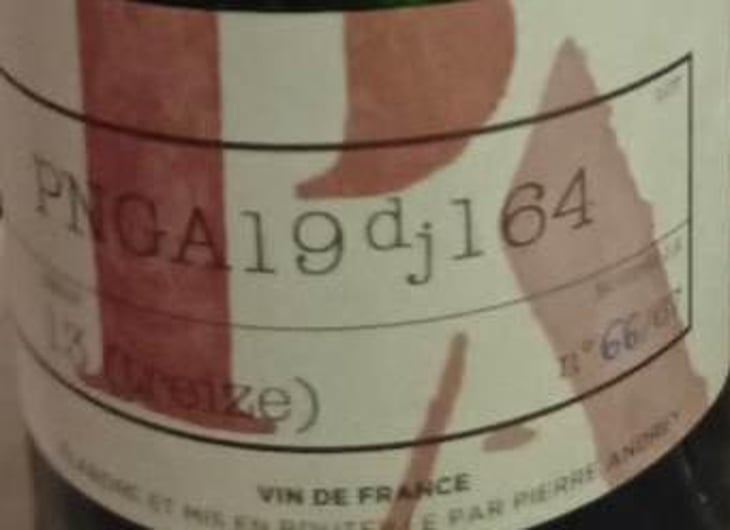 PNGA19dj164 - Domaine Pierre Andrey - NO VISIT - pierre-andrey-florence-bouleaux-no-visit -2019