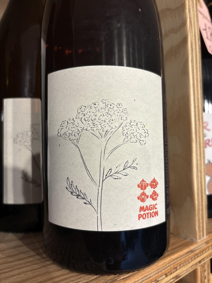 Magic potion - La Petite Frileuse - valerie-chazeau-stephane-majeune 