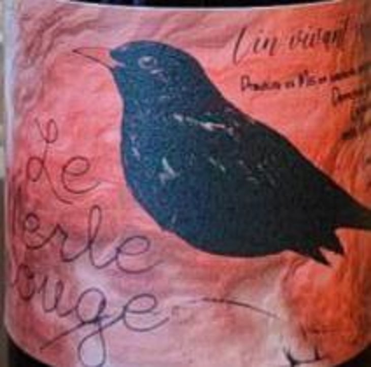 Merle Rouge - Des fleurs jaune - marc-sanchez-toha-clemence-baudoin -2021