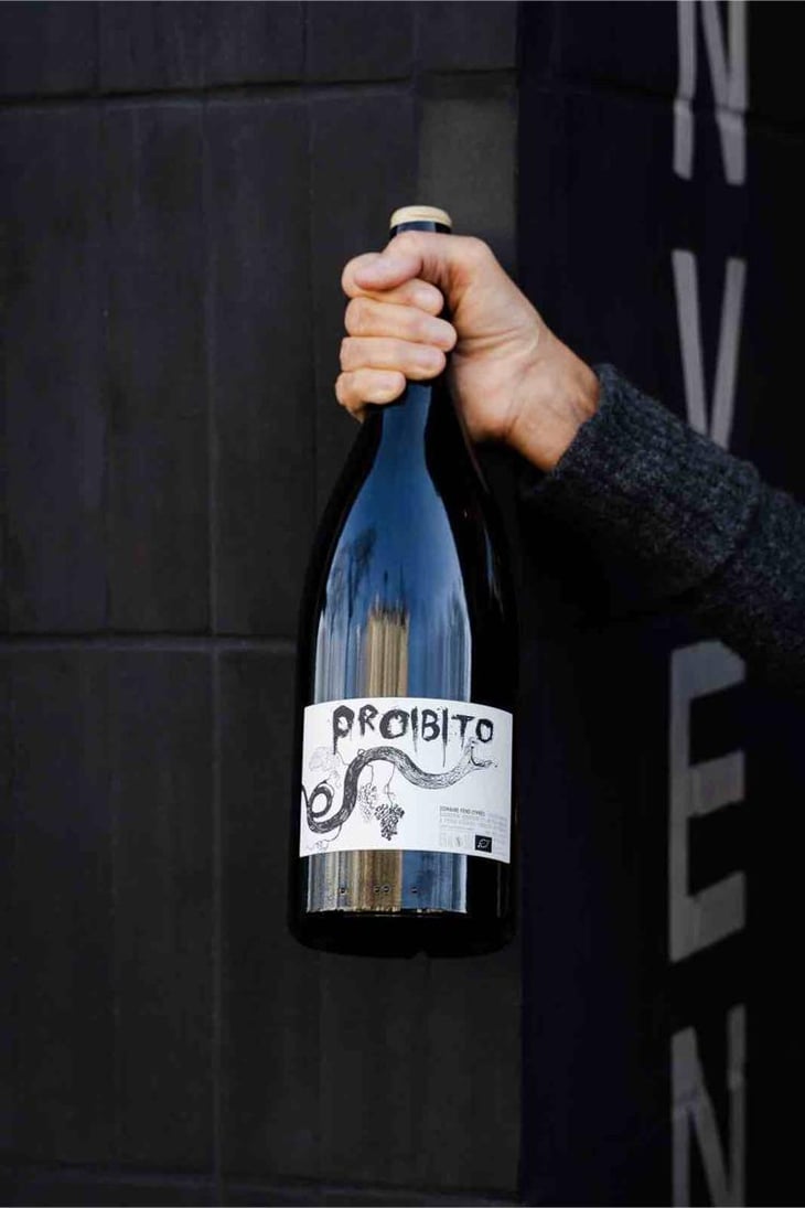 Proibito - Fond Cyprès - rodolphe-gianesini-laetitia-ourliac 