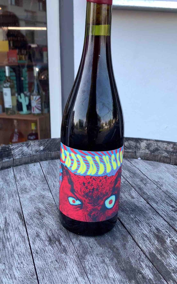 Extralucide 2021 - Les Serres de Merly - saharnaz-ahangi-et-gauthier-ollivier -2021