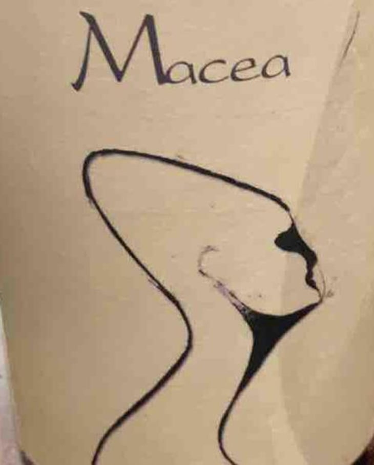 Sauvignon blanc - Azienda Agricola Macea - cipriano-antonio-barsanti 