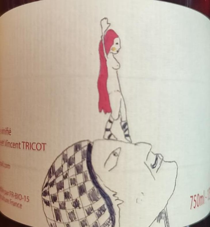 Rosé - Marie et Vincent Tricot - vincent-et-marie-tricot 