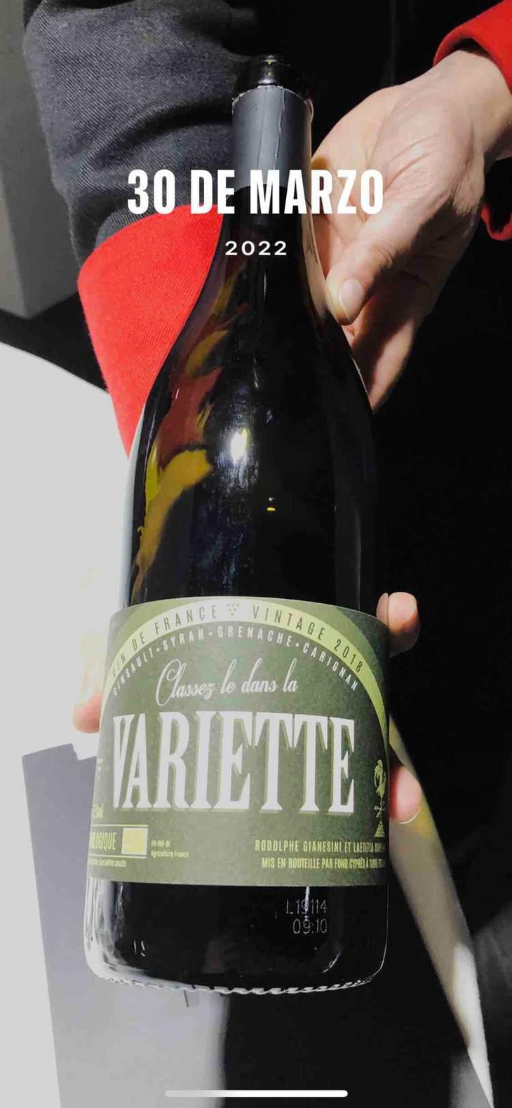 Variette - Fond Cyprès - rodolphe-gianesini-laetitia-ourliac 