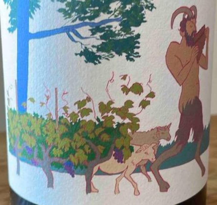 Pan - Vin Des Potes - peter-sandra-fischer 