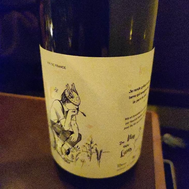 Du Vin Aux Liens - Yannick Meckert - yannick-meckert 