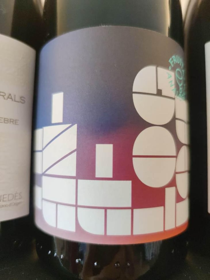 Comfortably Numb - Fruita Analogica - dido-jurriaan -2021