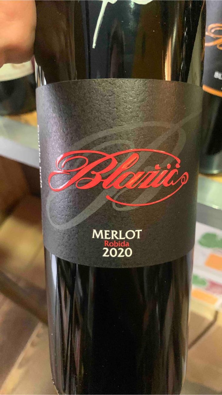 Merlot - Blažič - simona-borut-blazic -2020