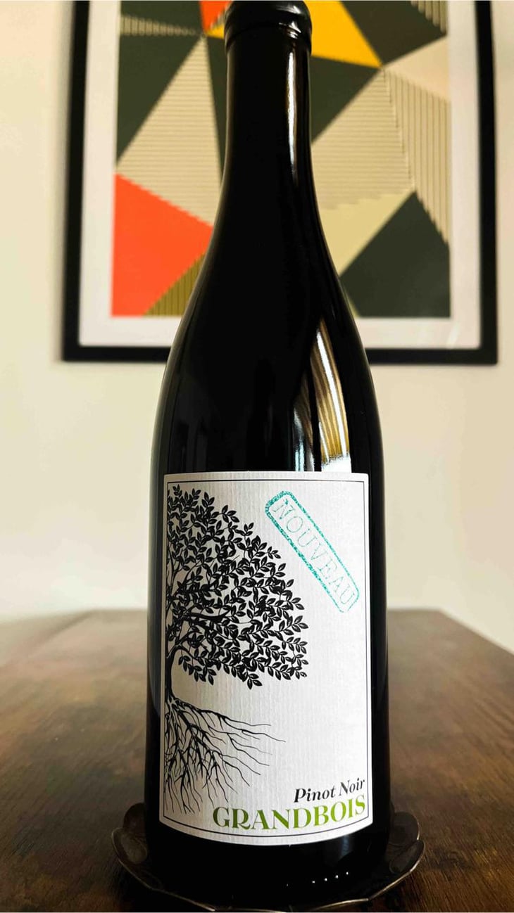 {NOUVEAU} Pinot Noir - Grandbois Weine - tanja-philippe-grandbois -22