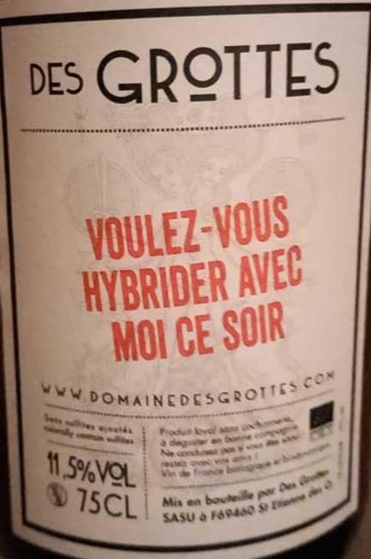 Voulez Vous Hybrider Avec Moi Ce Soir - Domaine des Grottes - romain-des-grottes -2021