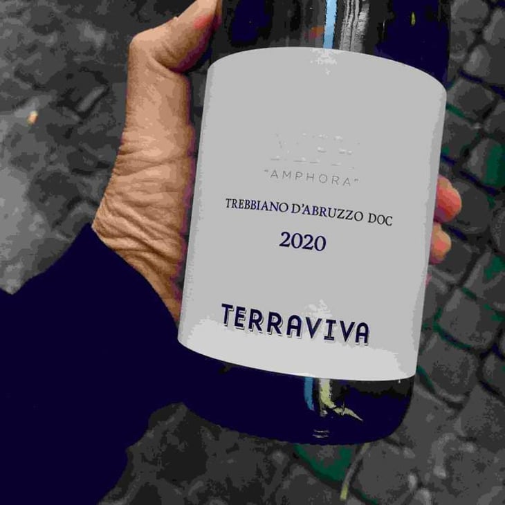 MPH Anfora - TerraViva - martino-taraschi -2020