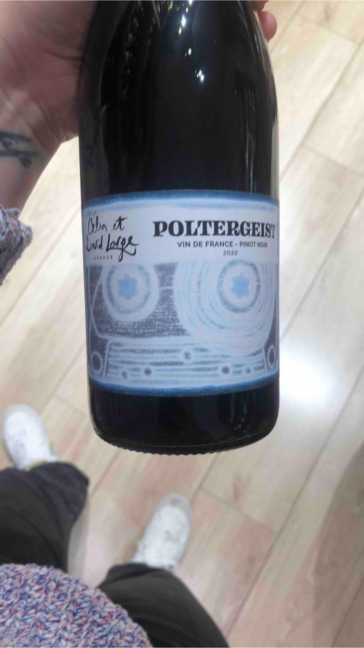 Poltergeist - David Large - celia-rostand-et-david-large -2022