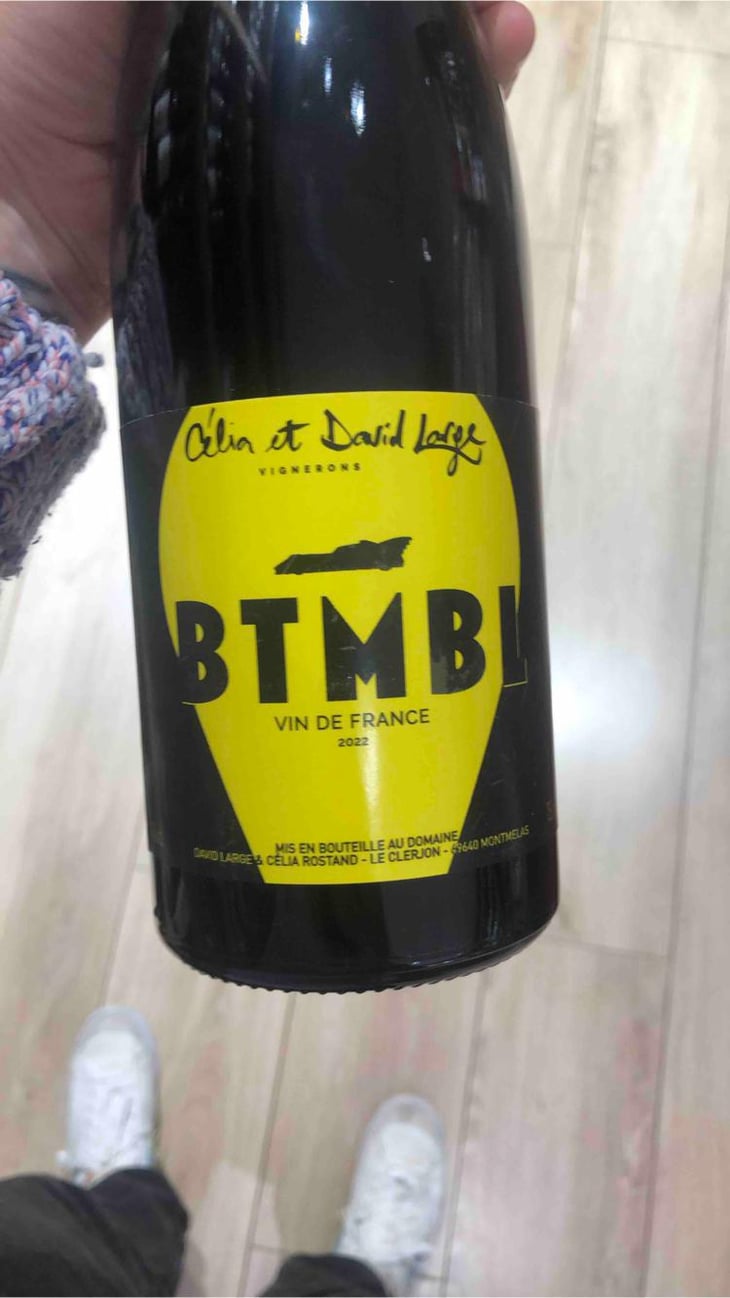 BTMBL - David Large - celia-rostand-et-david-large -2022