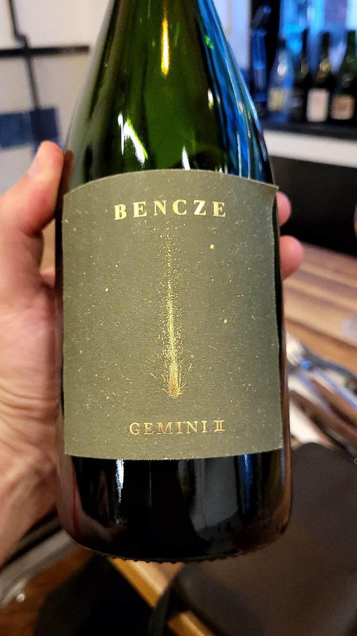Gemini II 2013 - Bencze Birtok - istvan-bencze -2013