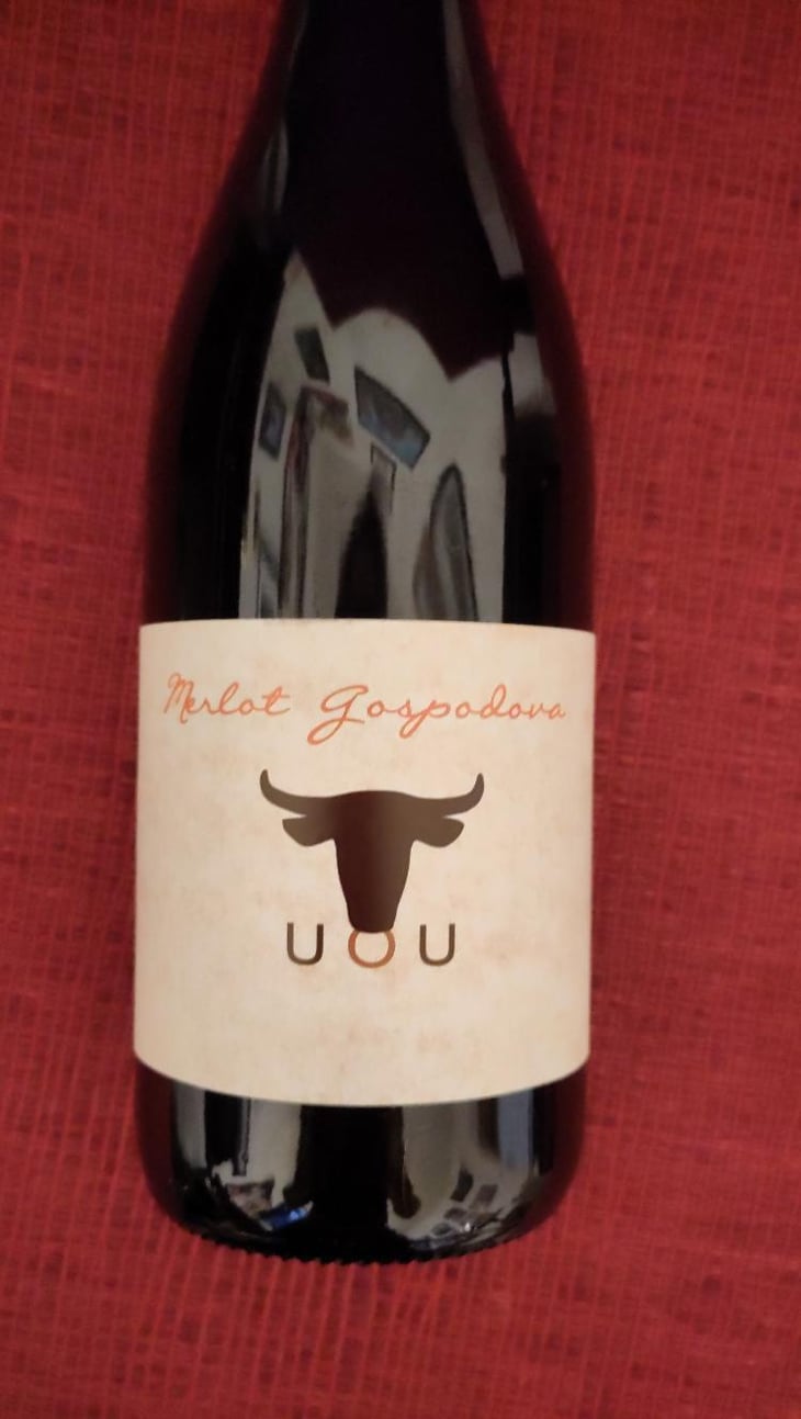 Merlot Gospodovo - Marinko Pintar - marinko-pintar -2019