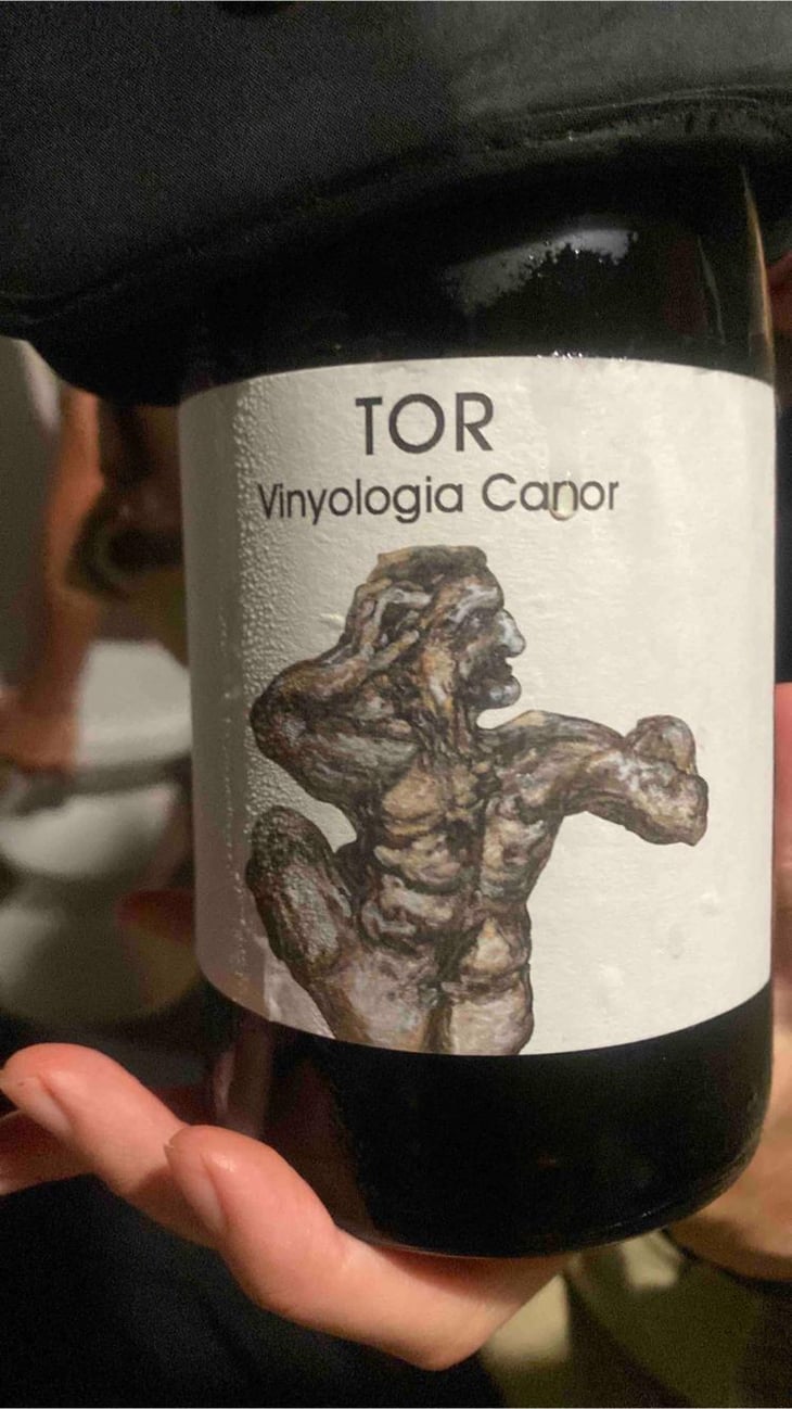 Tor - Hdjdhdjdjd - juan-tarrega 