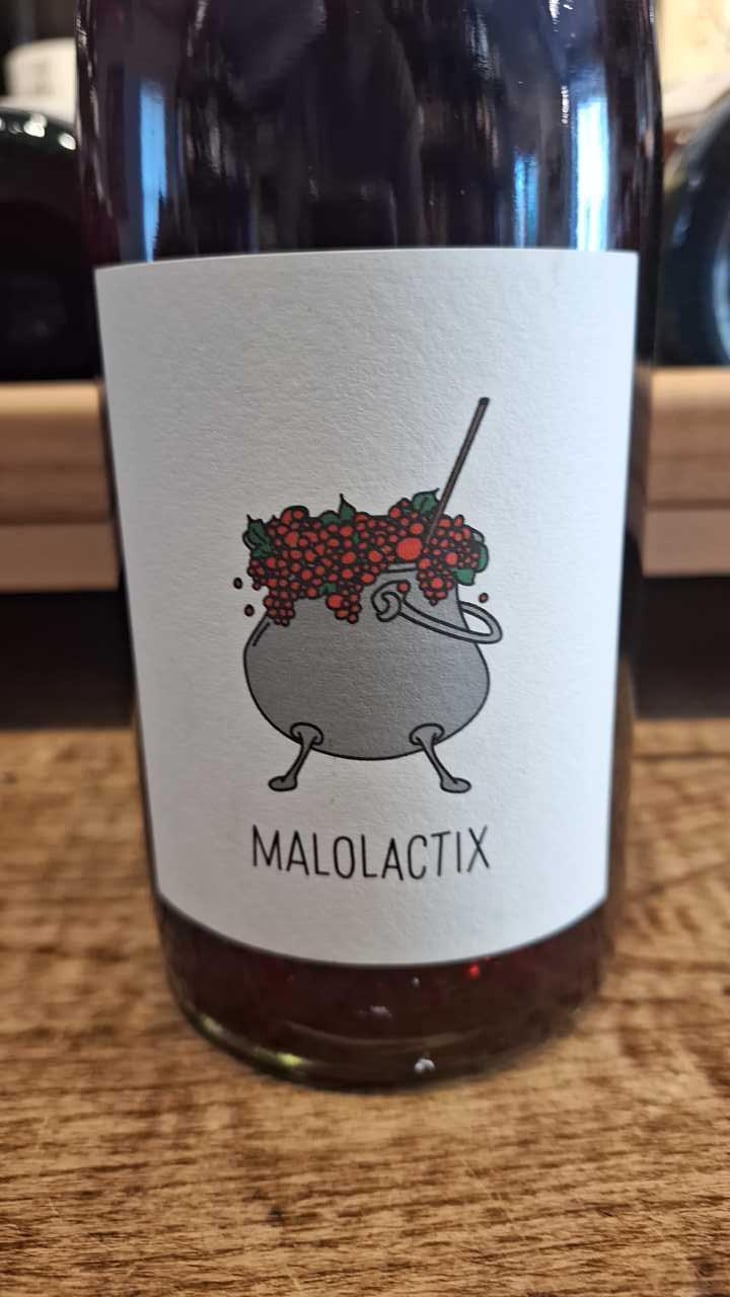 Malolactix - Le Sot de l'Ange - angelique-quentin-bourse 