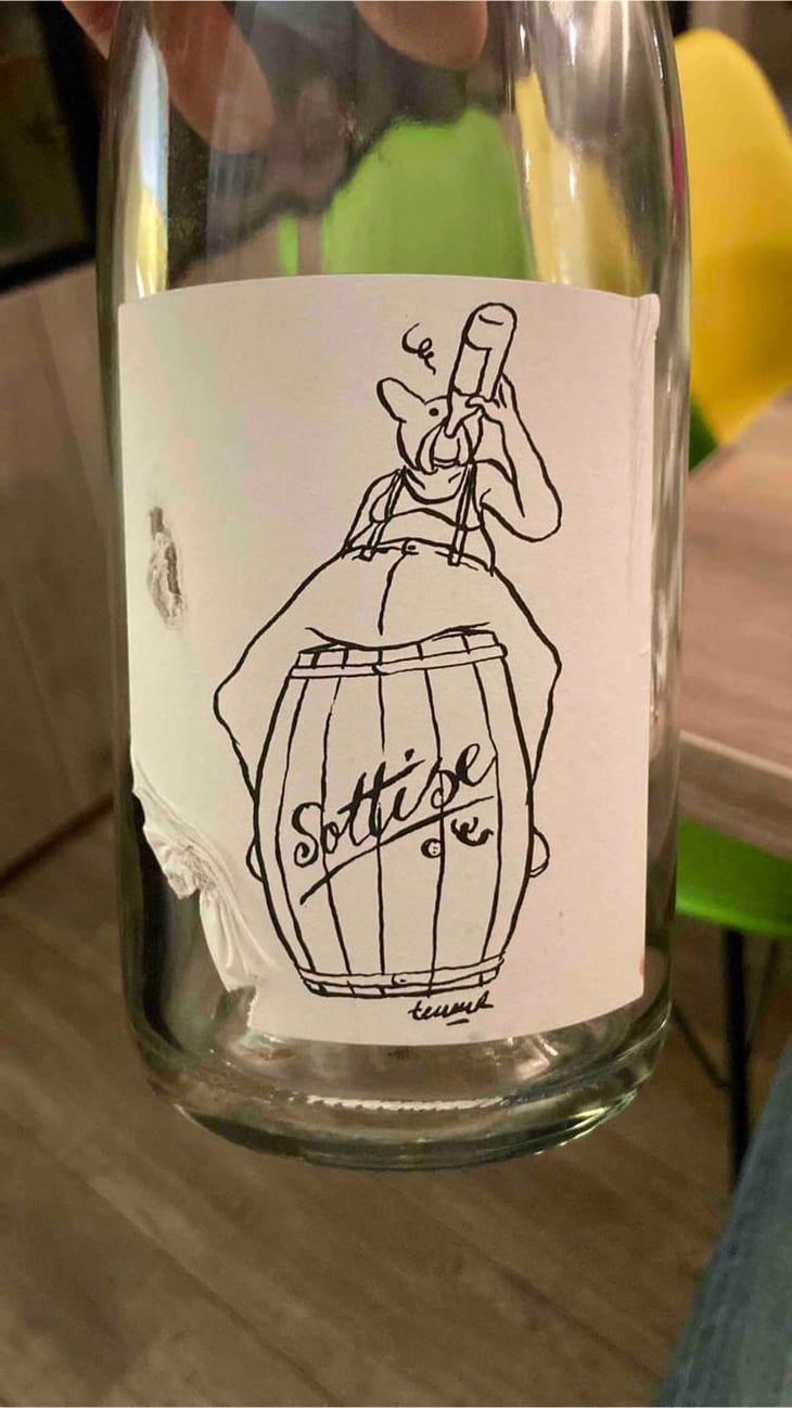 Sottise Bulles - Le Sot de l'Ange - angelique-quentin-bourse 