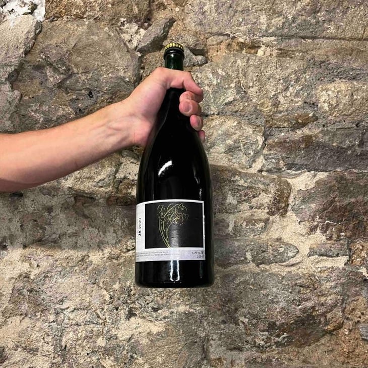 Jk - Le Nez de Goth - olivier-boulin -2020