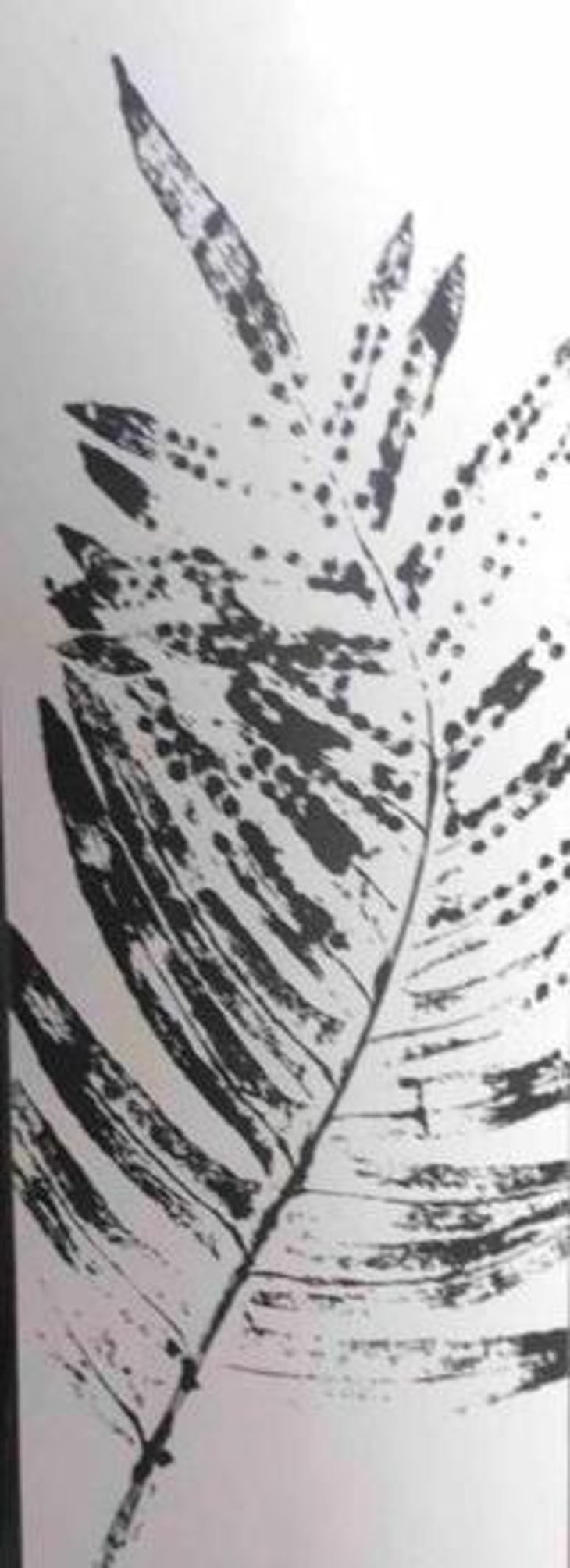 Sporée - Arthur Fèvre - arthur-fevre -2022