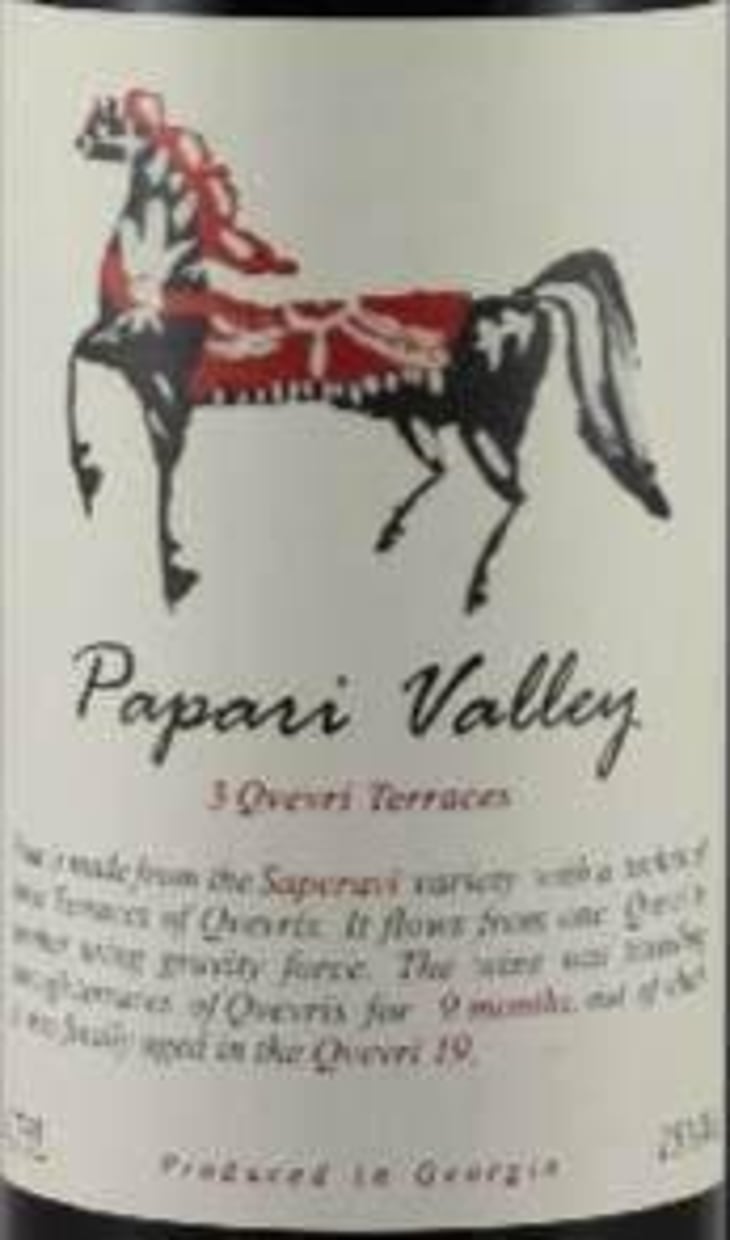 3 Qvevri Terraces Saperavi - Kakheti - shalva-nukri-kurdadze 