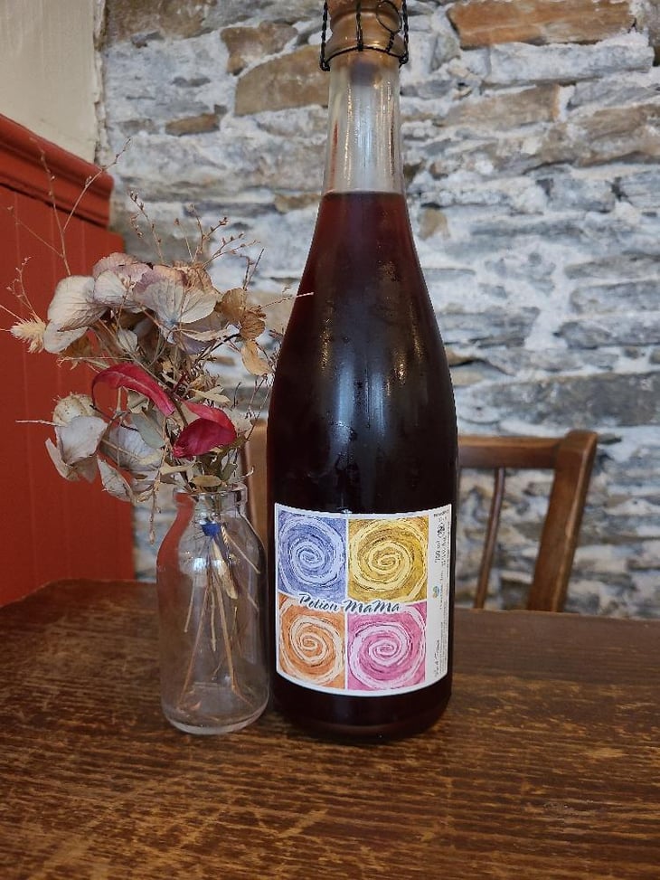 Potion Mama Rouge - Complémen'Terre - marion-pescheux-manuel-landron -2022