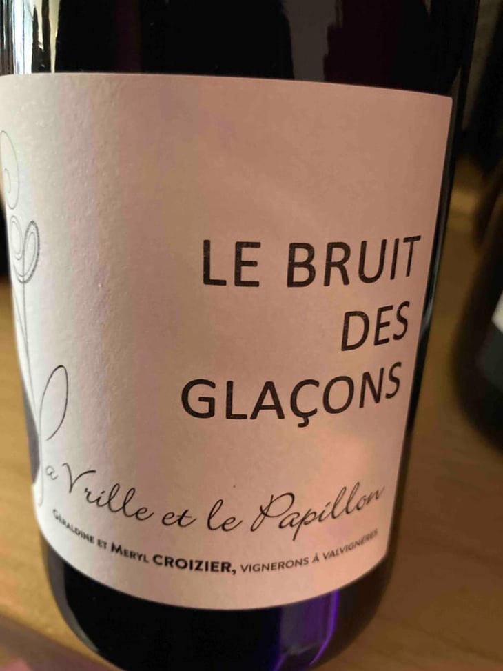 Le Bruit Des Glaçons - La Vrille et le Papillon - geraldine-meryl-croizier 