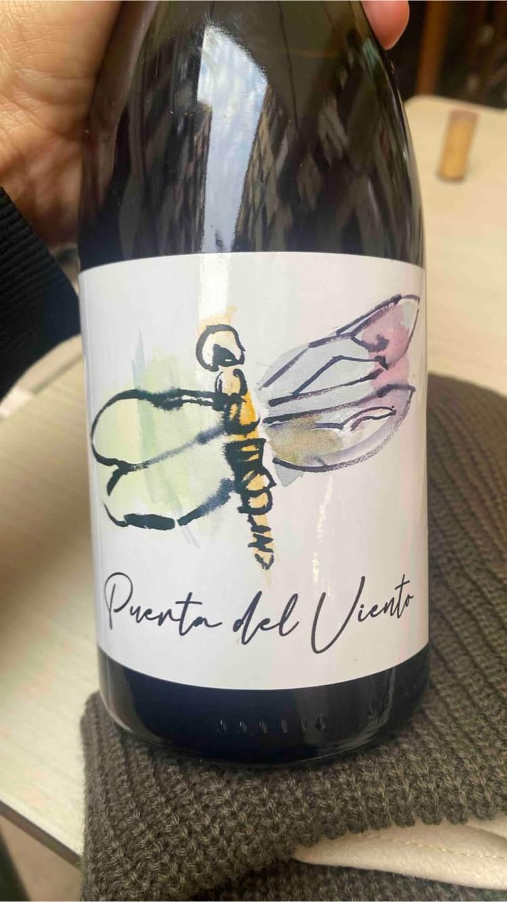 Puerta Del Viento - Puerta del Viento - jorge-vega -2021