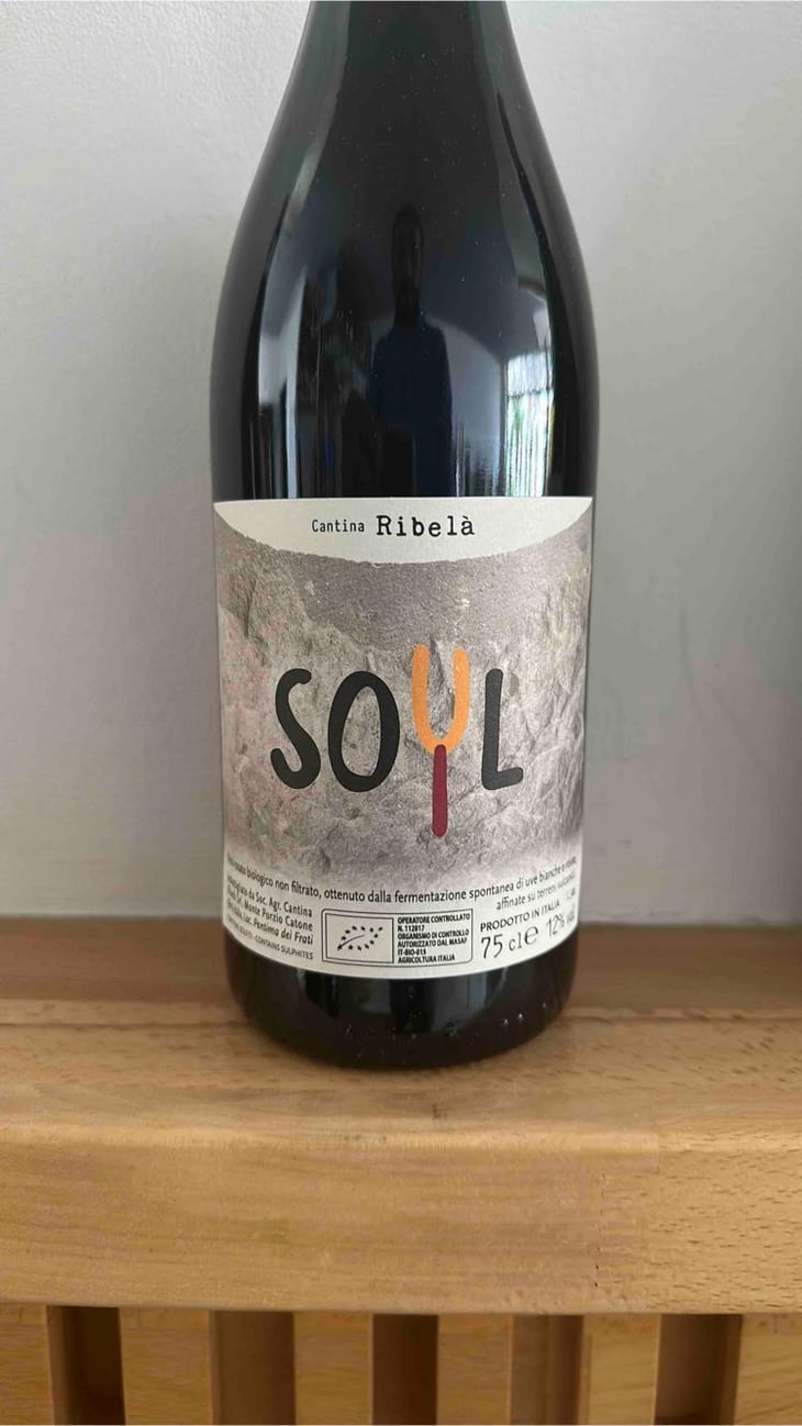 Soyl - Cantina Ribelà - chiara-bianchi-daniele-presutti -2022