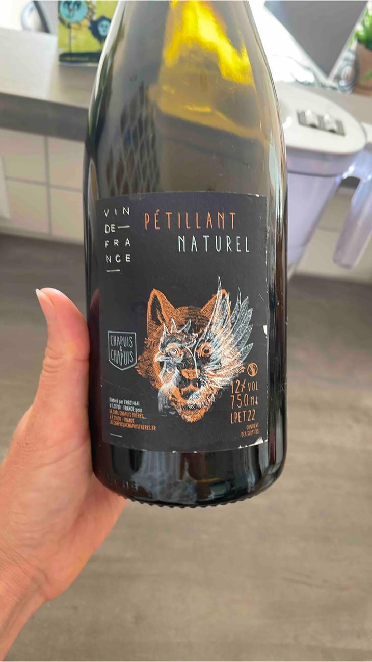 Pétillant Naturel Blanc - Chapuis & Chapuis - romain-jean-guillaume-chapuis -2022