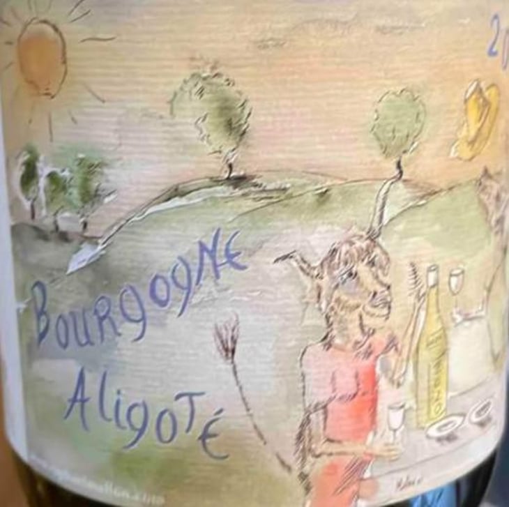 Bourgogne Aligoté - Domaine Henri Naudin-Ferrand - claire-naudin 