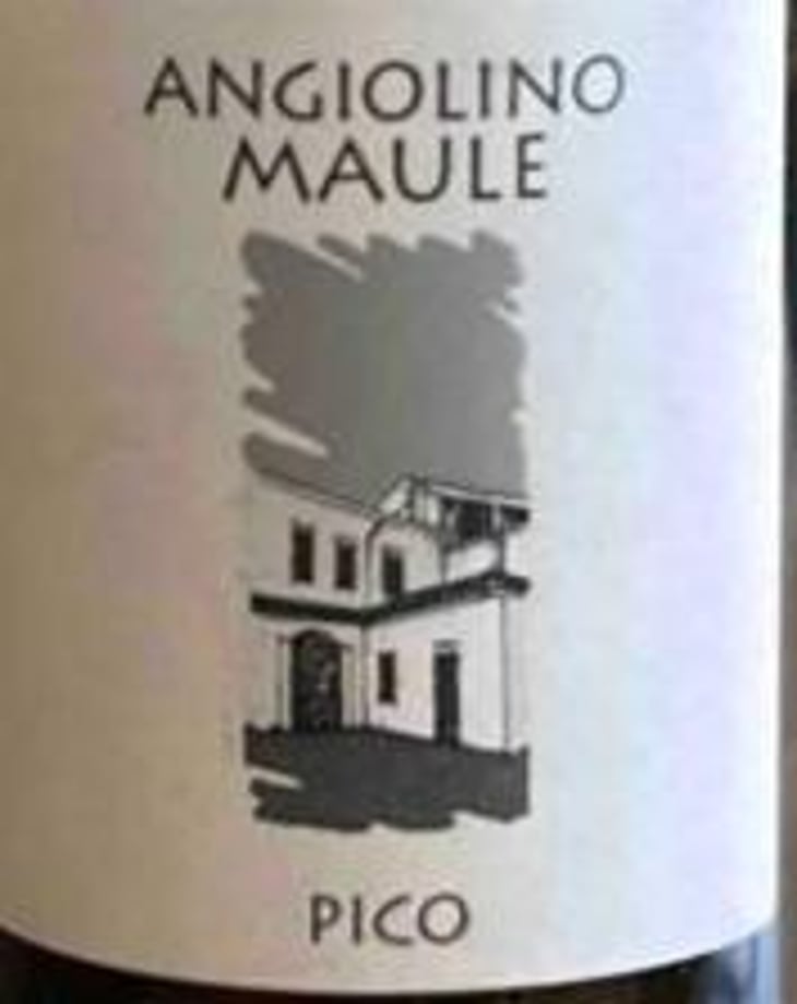 Pico Faldeo - Azienda Agricola La Biancara - angiolino-maule -2020